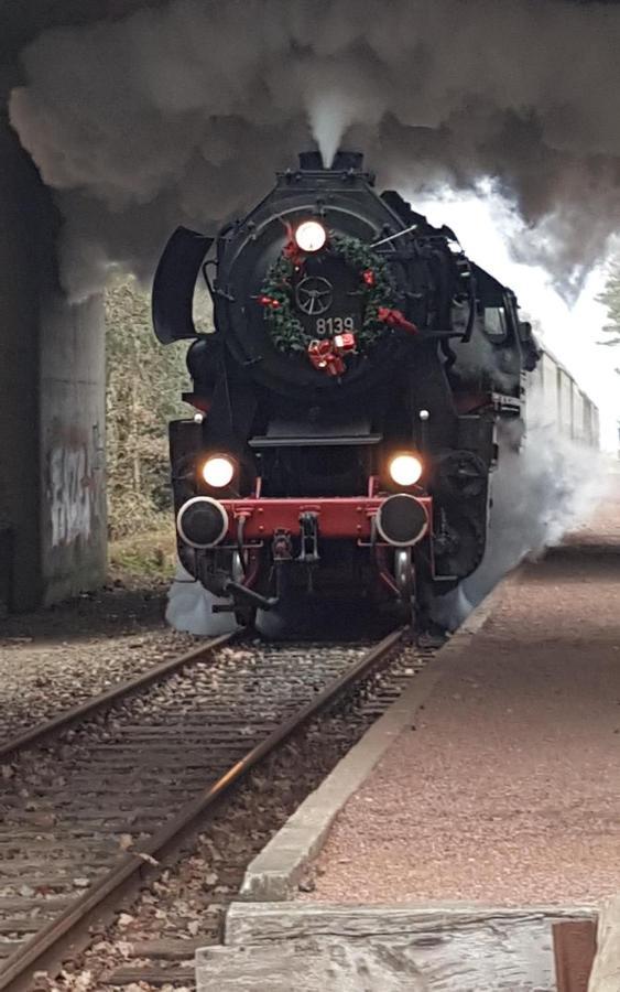 B&B De Loenense Bossen Zewnętrze zdjęcie