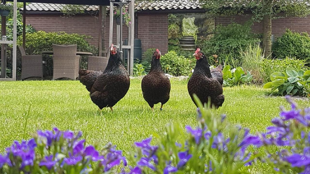 B&B De Loenense Bossen Zewnętrze zdjęcie
